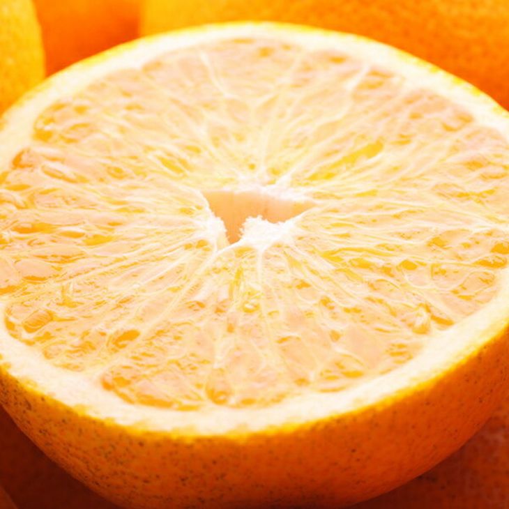 ＜4月より発送＞厳選 樹上完熟はっさく5kg+250g（傷み補償分