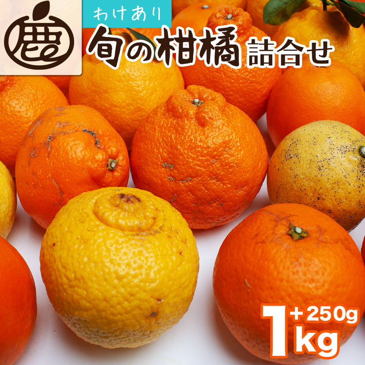 ＜1月より発送＞家庭用 柑橘詰合せ1kg+250g（傷み補償分）◇