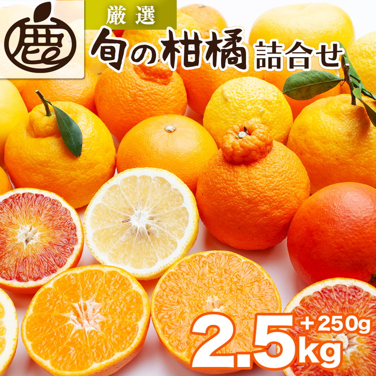 ＜1月より発送＞厳選 柑橘詰合せ2.5kg+250g（傷み補償分）◇