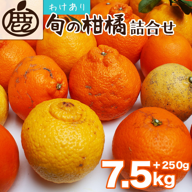 ＜1月より発送＞家庭用 柑橘詰合せ7.5kg+250g（傷み補償分）