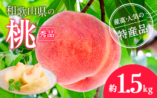【産直・人気の特産品】和歌山の桃 約1.5kg