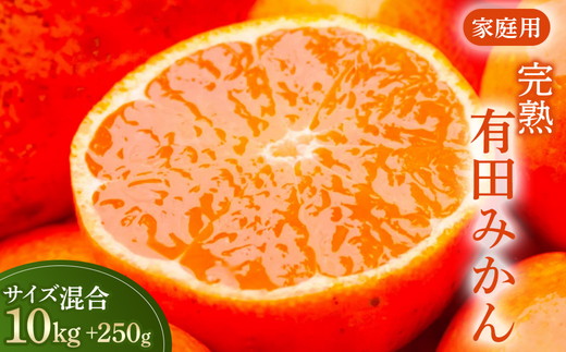 家庭用 完熟 有田みかん10kg+250g（傷み補償分）サイズ混合 