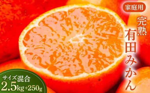 家庭用 完熟 有田みかん2.5kg+250g（傷み補償分）サイズ混合 