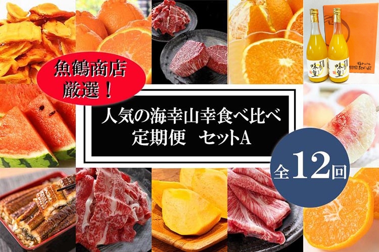 〈毎月定期便〉人気の海幸山幸食べ比べ セットA 【定期便