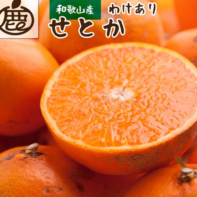 ＜2月より発送＞家庭用 せとか1kg+250g（傷み補償分）【柑橘