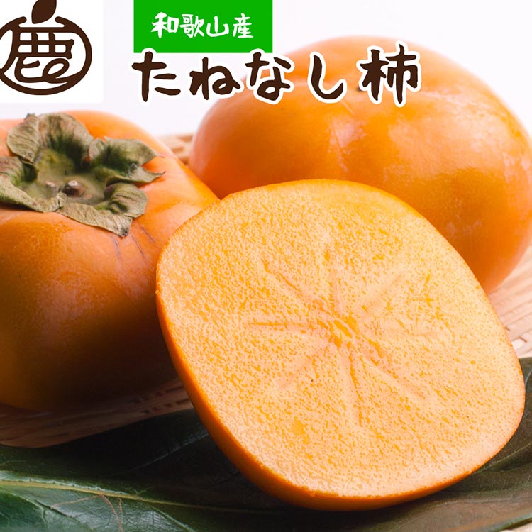 ＜10月より発送＞厳選たねなし柿1.5kg【刀根早生・平核無柿