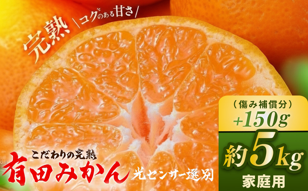 ＼光センサー選別／こだわりの完熟有田みかん 5kg＋150g(傷