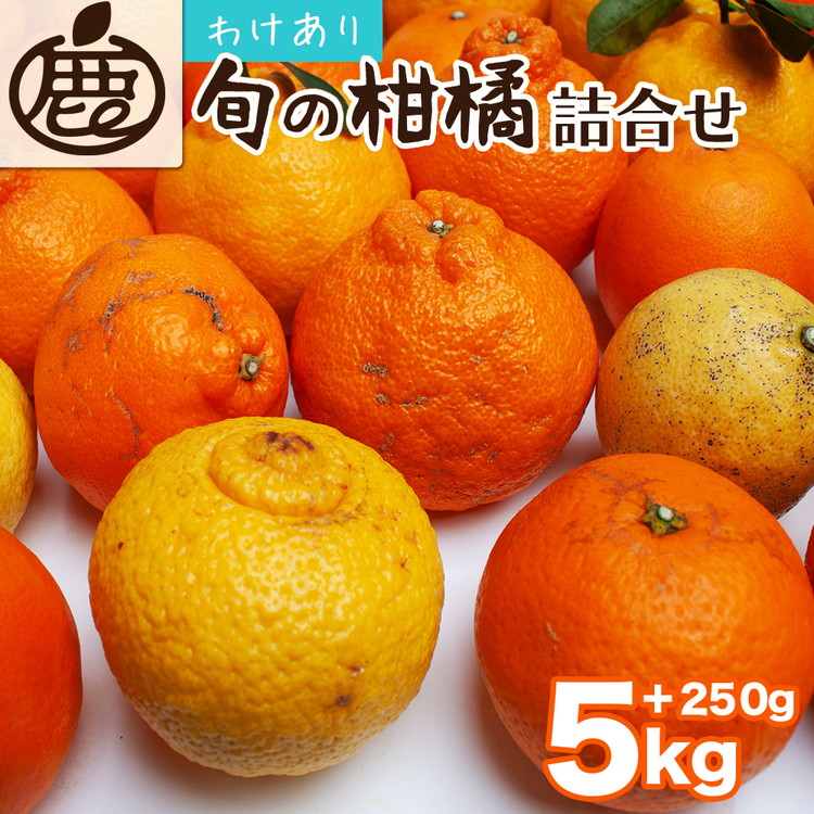 ＜1月より発送＞家庭用 柑橘詰合せ5kg+250g（傷み補償分）◇