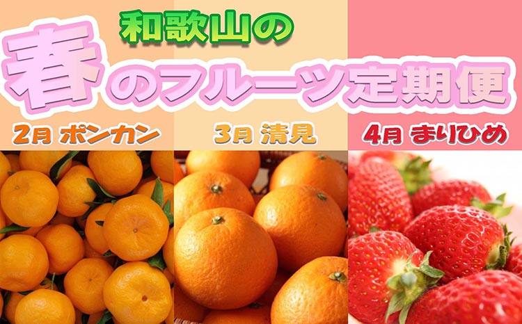 〈定期便〉【2・3・4月 全3回】和歌山の春のフルーツ（ポン