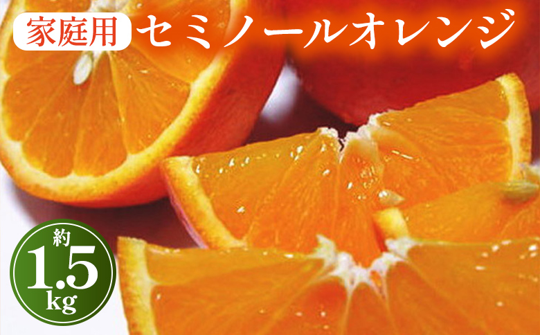 【先行予約】【春の美味】【農家直送】爽快カンキツ　セ