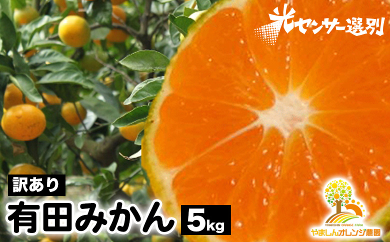 【先行受付】【訳あり】有田みかん 5kg ｜ 農家直送 訳あり 
