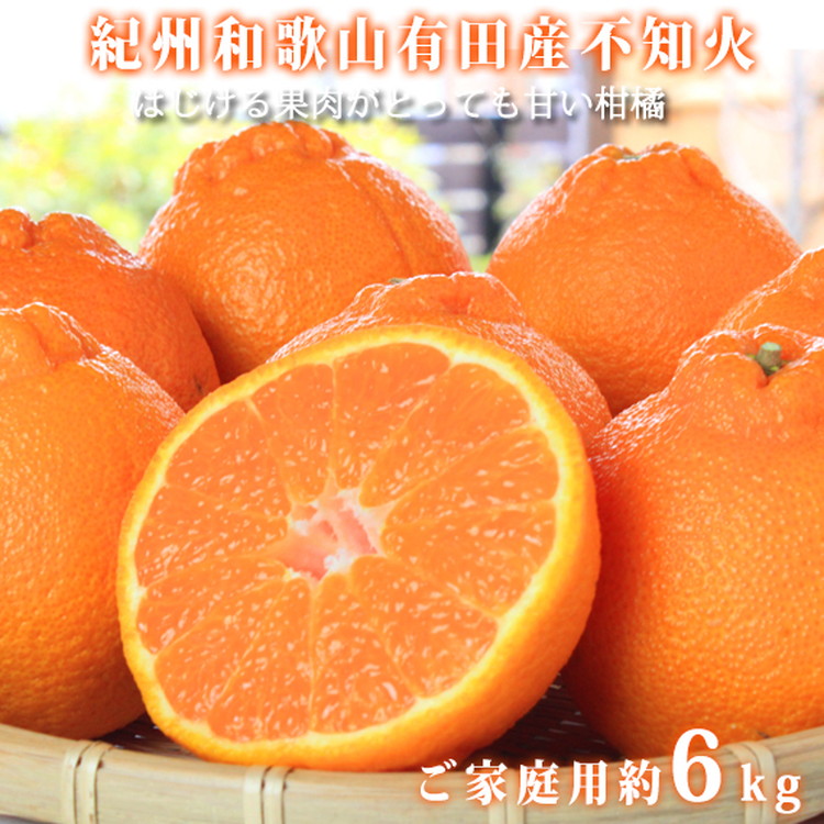 【ご家庭用訳有り】紀州有田産不知火(しらぬひ)約6kg ※2026