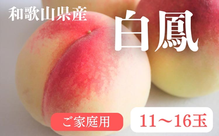 【先行予約】和歌山県産 白鳳 桃 11～16玉入り 訳あり ご家