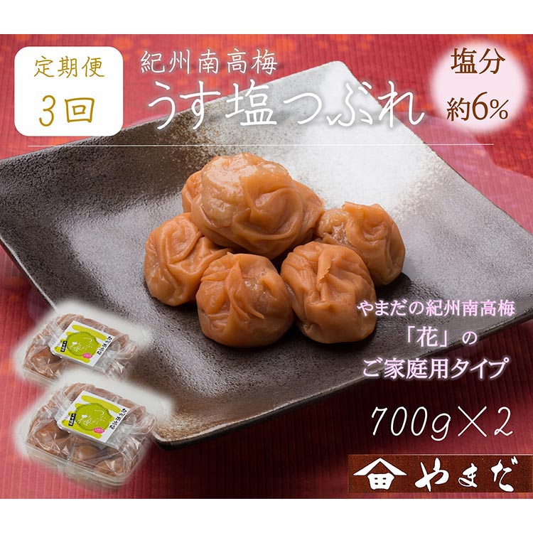 【定期便/3か月ごと/全3回】紀州南高梅うす塩つぶれ（塩分