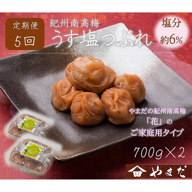 【定期便/2か月ごと/全5回】紀州南高梅うす塩つぶれ（塩分