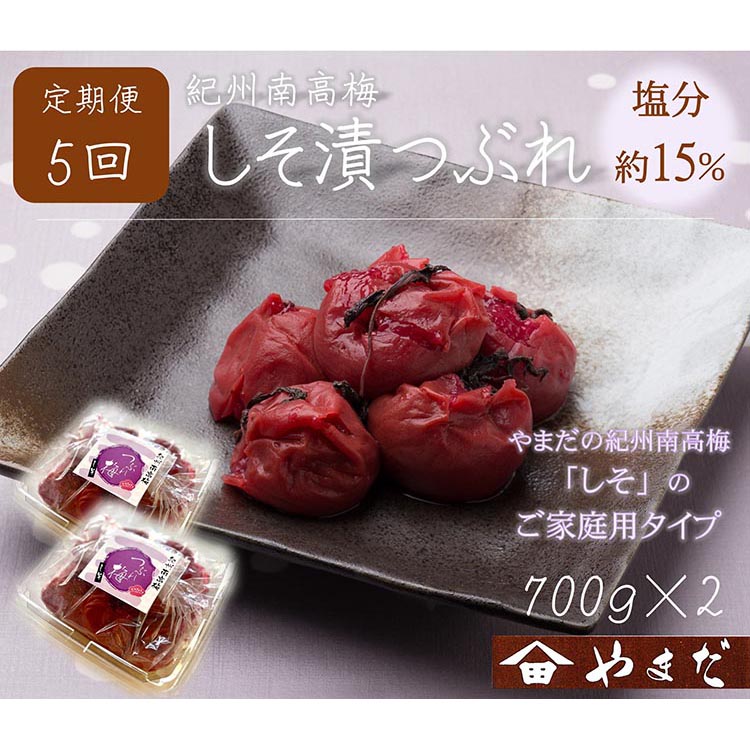 【定期便/2か月ごと/全5回】紀州南高梅しそ漬つぶれ（塩分