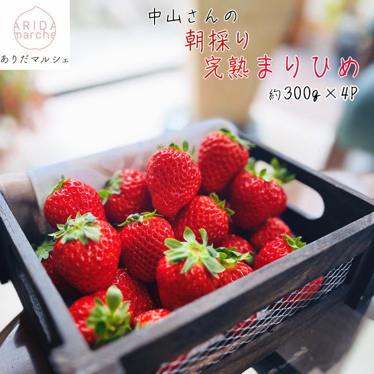 農家直送 朝摘み 完熟 まりひめ いちご 約1,200g（約300g×4パ