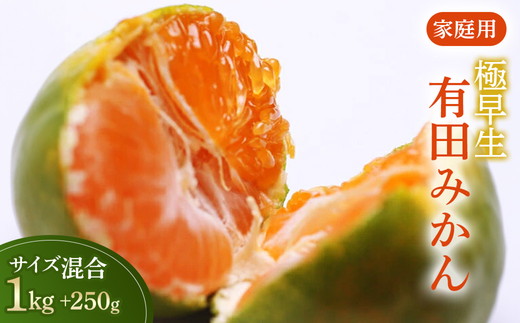 家庭用 極早生有田みかん1kg+250g（傷み補償分）【希少な新