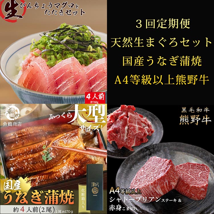 〈毎月定期便〉紀州和歌山うまいもんセットC(生まぐろ・う