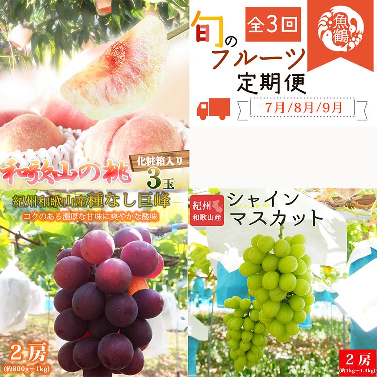 〈定期便〉【7・8・9月 全3回】紀州和歌山産旬のフルーツセ