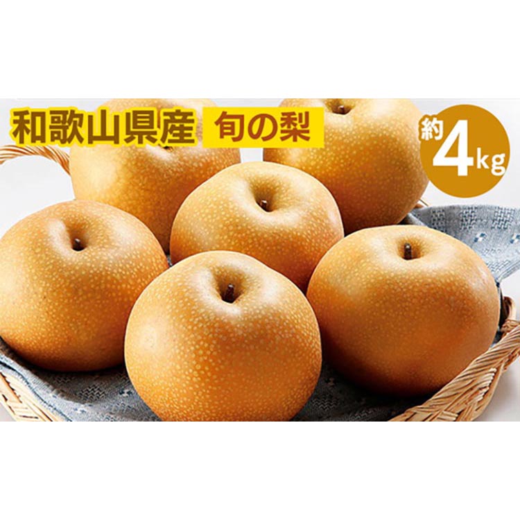 ◆先行予約◆和歌山県産 旬の梨 約4kg ※2025年8月中旬～9月