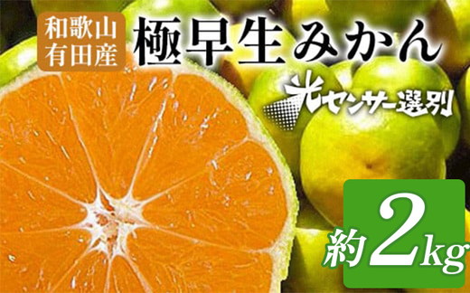 【先行予約】こだわりの極早生みかん 約2kg 農家直送 有機