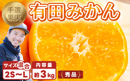 【まごころ手選別】和歌山産 有田みかん 3kg 1箱 (2S～Lサイ