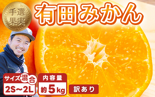 【まごころ手選別】和歌山産 有田みかん 5kg 家庭用 ※2025年