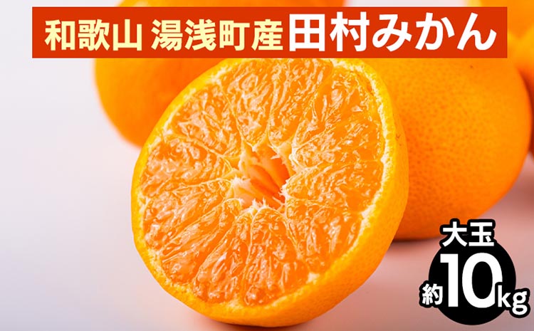 和歌山 湯浅町産 田村みかん 10kg【大玉】 ※2025年11月中旬～