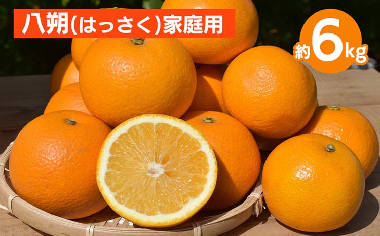 和歌山県産 八朔 6kg 家庭用 ※2026年1月上旬～3月下旬頃に順
