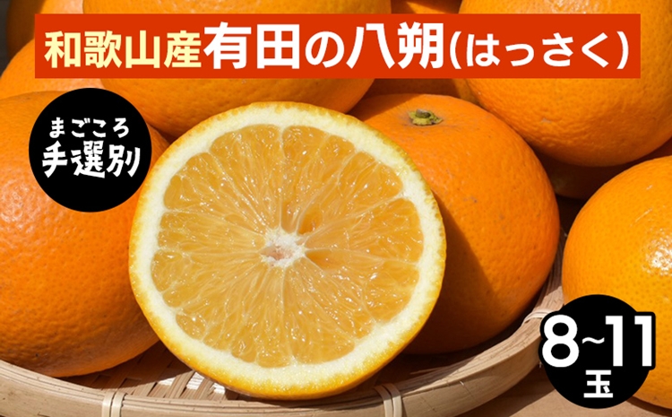 【まごころ手選別】和歌山産有田のはっさく　8～11玉 ※2026