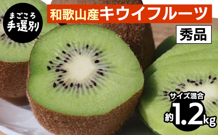 【まごころ手選別】和歌山産　キウイフルーツ　約1.2kg(サ