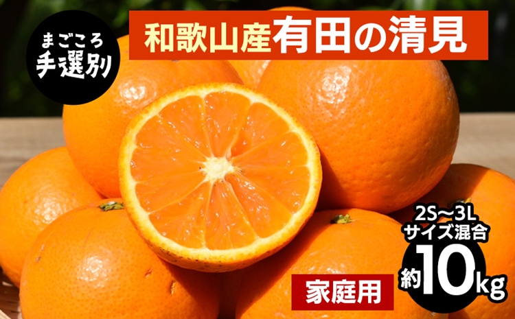 【まごころ手選別】和歌山産　有田の清見　約10kg(2S～3Lサ