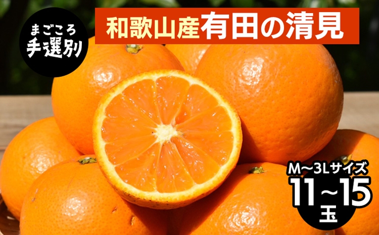 【まごころ手選別】和歌山産　有田の清見　11玉～15玉(M～3L