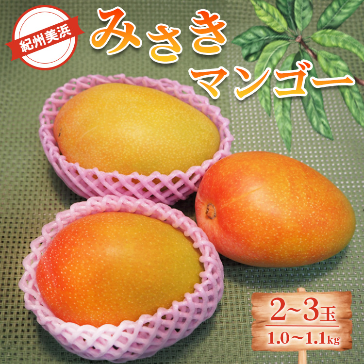 紀州美浜みさきマンゴー2～3玉（1.0～1.1kg）
※離島への配