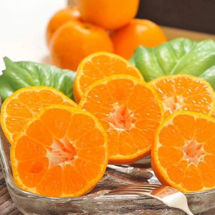 【先行予約】【冬の美味】【農家直送】濃厚ポンカン（ご