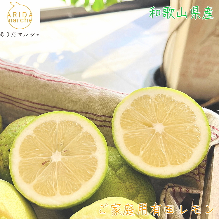 【先行予約】 紀州 和歌山 ご家庭用 有田 レモン 【防腐剤