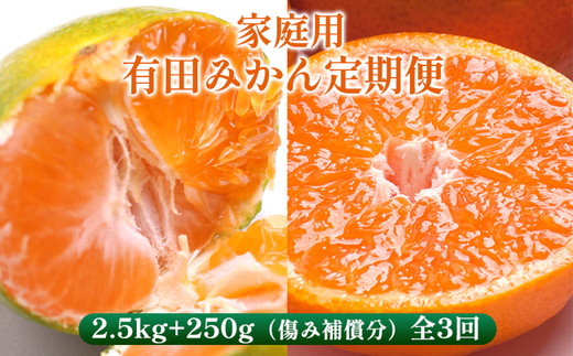 〈定期便〉【10・11・12月 全3回】家庭用 有田みかん定期便 2