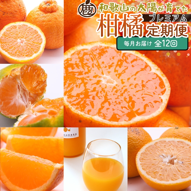 【定期便】厳選 柑橘定期便 S 12回（毎月）※北海道・沖縄