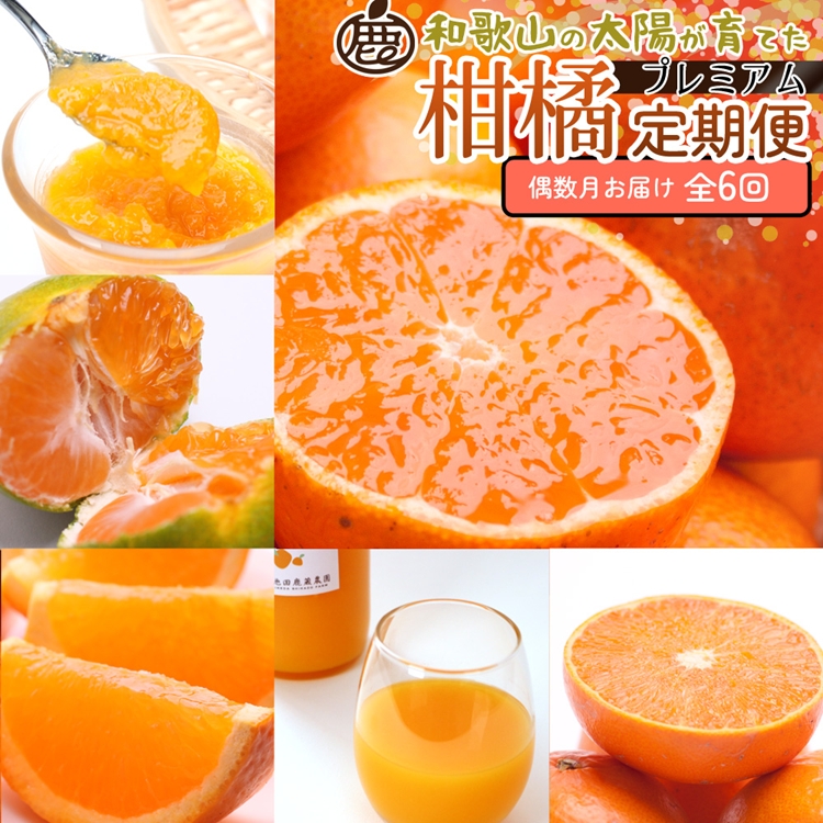 【定期便】厳選 柑橘定期便 S 6回（偶数月）※北海道・沖縄