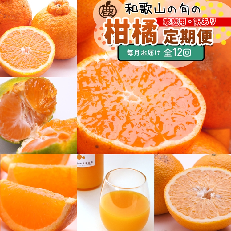 【定期便】家庭用 柑橘定期便 S 12回（毎月）※北海道・沖