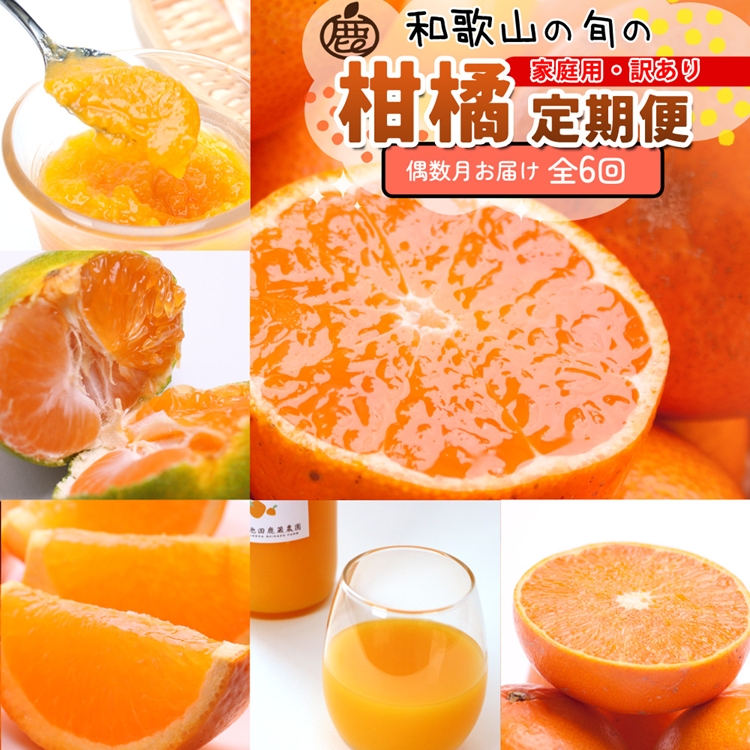 【定期便】家庭用 柑橘定期便 S 6回（偶数月）※北海道・沖