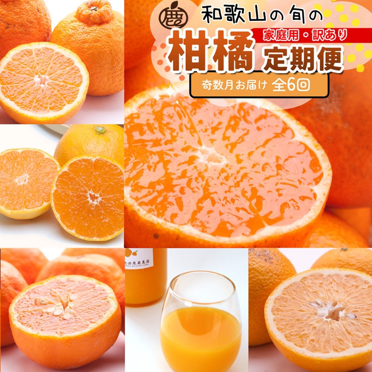 【定期便】家庭用 柑橘定期便 M 6回（奇数月）※北海道・沖