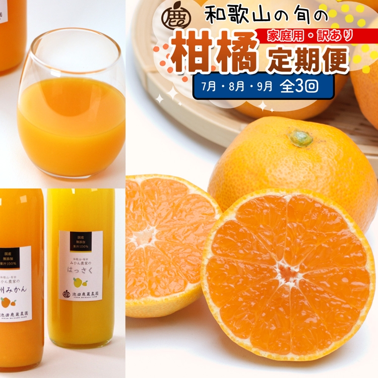 【定期便】家庭用 柑橘定期便 M 3回（7～9月）※北海道・沖