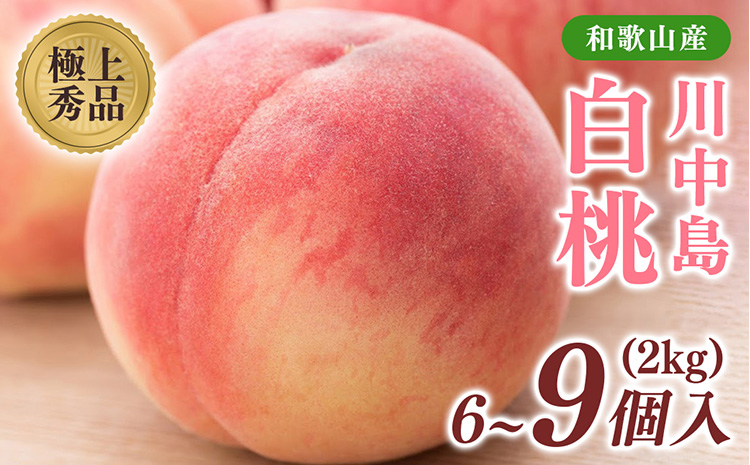 桃先行受付!　【川中島白桃】　(大玉特秀品)　約2kg　6～9個