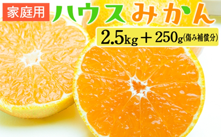 家庭用 ハウスみかん2.5kg+250g（傷み補償分）