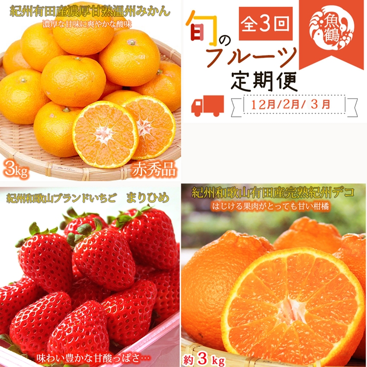 〈定期便〉【2・3・12月 全3回】紀州和歌山産旬のフルーツ