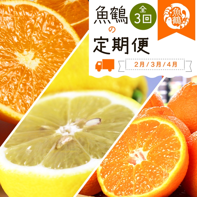 〈定期便〉【2・3・4月 全3回】紀州和歌山産旬の柑橘セット