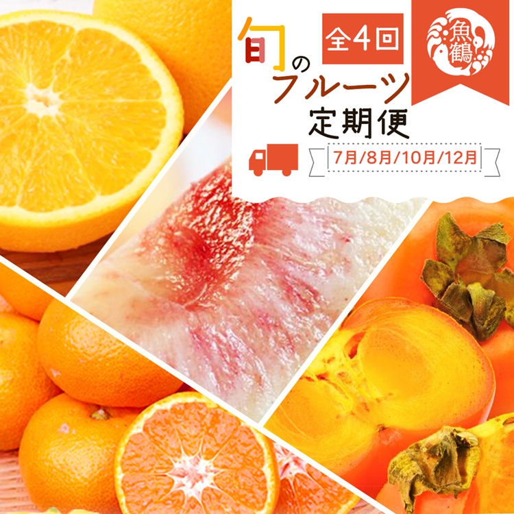 〈定期便〉【7・8・10・12月 全4回】紀州和歌山産旬のフルー