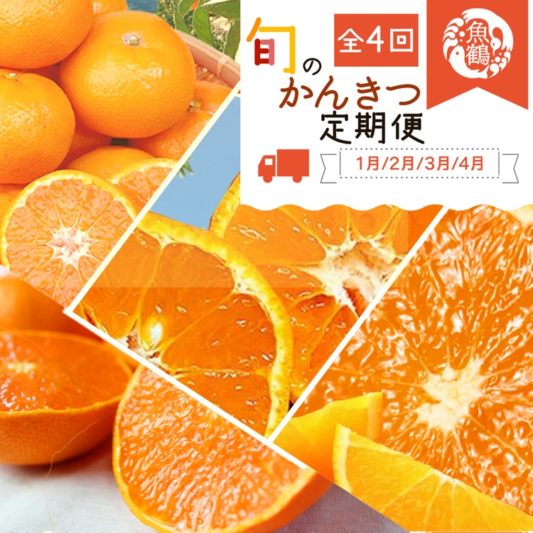 〈定期便〉【1・2・3・4月 全4回】紀州和歌山産旬の柑橘セ